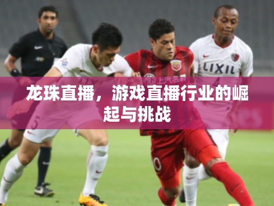 龙珠直播，游戏直播行业的崛起与挑战