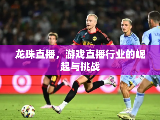 龙珠直播，游戏直播行业的崛起与挑战
