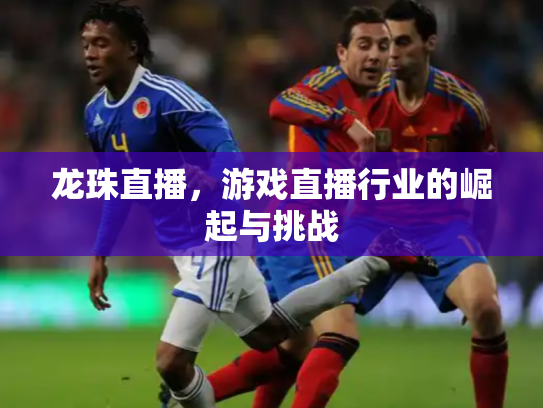 龙珠直播，游戏直播行业的崛起与挑战