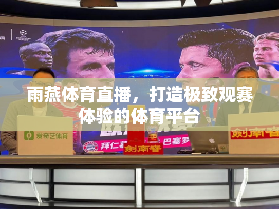 雨燕体育直播，打造极致观赛体验的体育平台