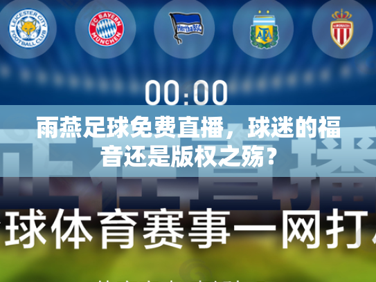 雨燕足球免费直播，球迷的福音还是版权之殇？