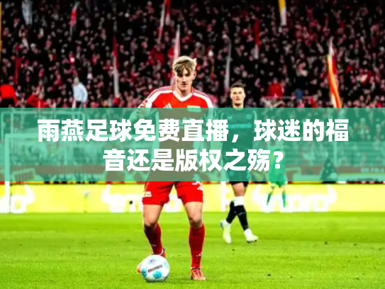 雨燕足球免费直播，球迷的福音还是版权之殇？