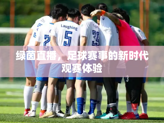 绿茵直播，足球赛事的新时代观赛体验