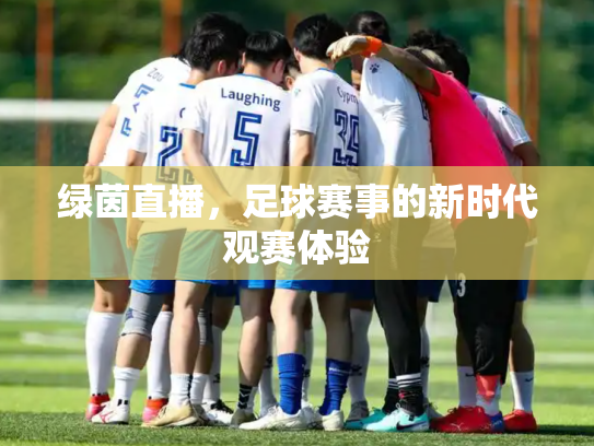 绿茵直播，足球赛事的新时代观赛体验