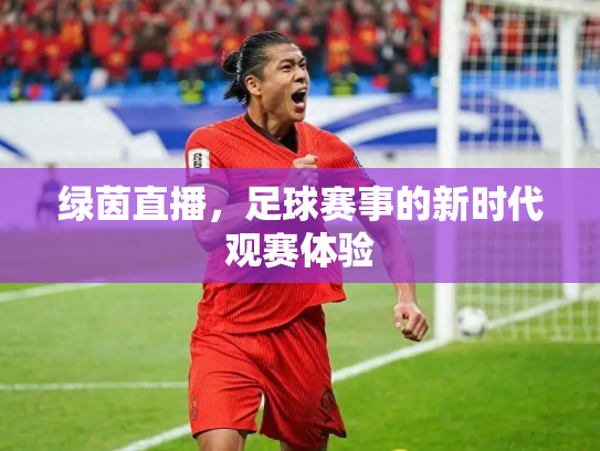 绿茵直播，足球赛事的新时代观赛体验