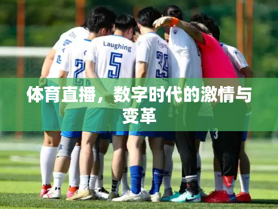 体育直播，数字时代的激情与变革