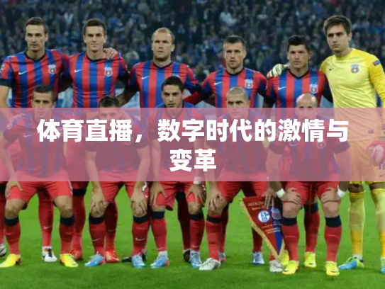 体育直播，数字时代的激情与变革