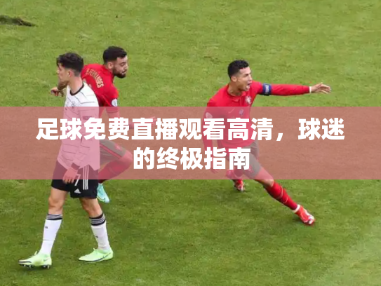 足球免费直播观看高清，球迷的终极指南