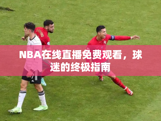 NBA在线直播免费观看，球迷的终极指南