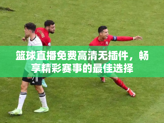 篮球直播免费高清无插件，畅享精彩赛事的最佳选择