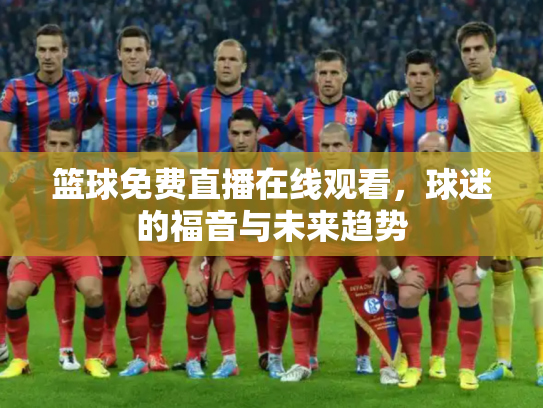 篮球免费直播在线观看，球迷的福音与未来趋势