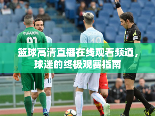 篮球高清直播在线观看频道，球迷的终极观赛指南