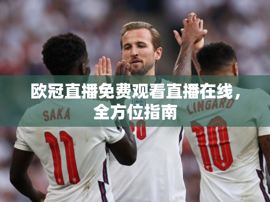 欧冠直播免费观看直播在线，全方位指南