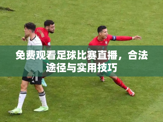免费观看足球比赛直播，合法途径与实用技巧
