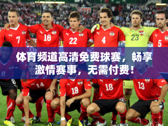 体育频道高清免费球赛，畅享激情赛事，无需付费！
