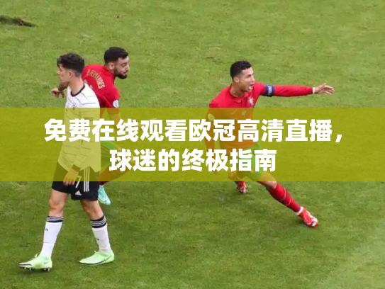 免费在线观看欧冠高清直播，球迷的终极指南