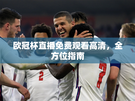 欧冠杯直播免费观看高清，全方位指南