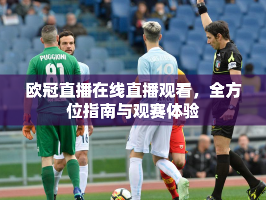 欧冠直播在线直播观看，全方位指南与观赛体验