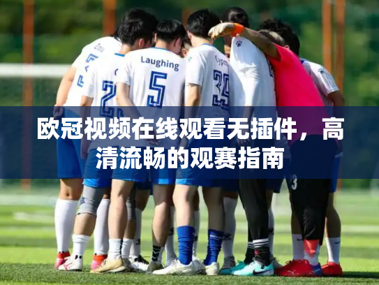 欧冠视频在线观看无插件，高清流畅的观赛指南