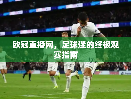 欧冠直播网，足球迷的终极观赛指南
