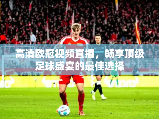高清欧冠视频直播，畅享顶级足球盛宴的最佳选择