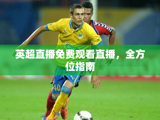 英超直播免费观看直播，全方位指南