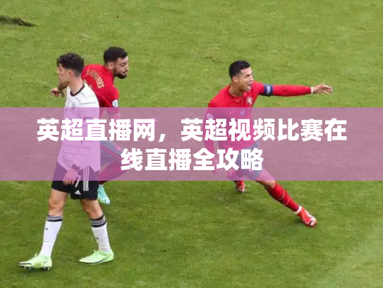 英超直播网，英超视频比赛在线直播全攻略
