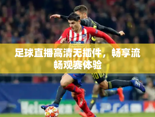 足球直播高清无插件，畅享流畅观赛体验