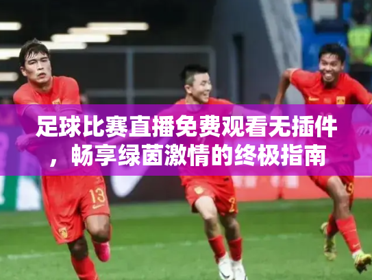 足球比赛直播免费观看无插件，畅享绿茵激情的终极指南
