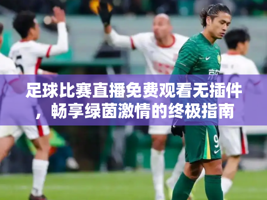 足球比赛直播免费观看无插件，畅享绿茵激情的终极指南