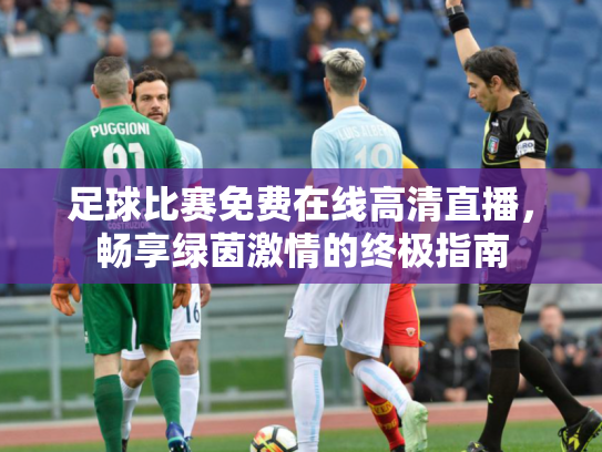 足球比赛免费在线高清直播，畅享绿茵激情的终极指南
