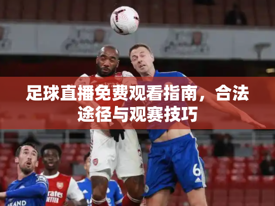 足球直播免费观看指南，合法途径与观赛技巧