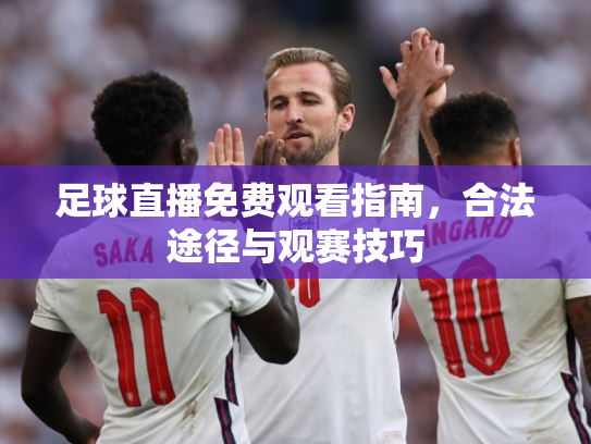 足球直播免费观看指南，合法途径与观赛技巧