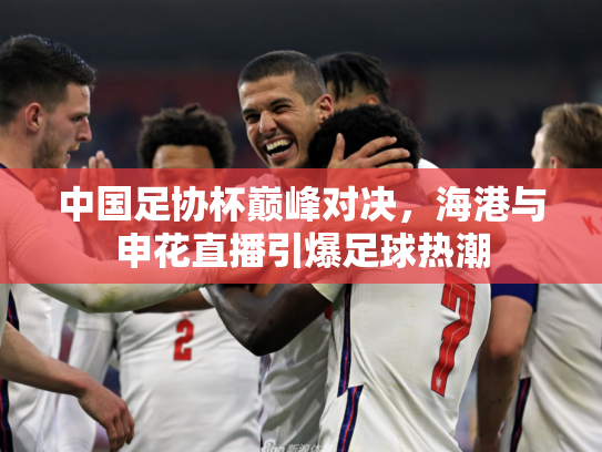 中国足协杯巅峰对决，海港与申花直播引爆足球热潮