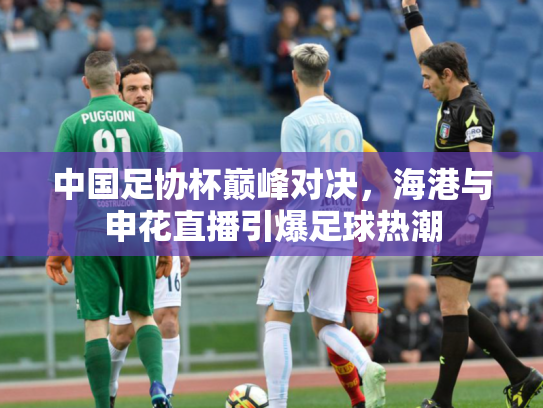 中国足协杯巅峰对决，海港与申花直播引爆足球热潮