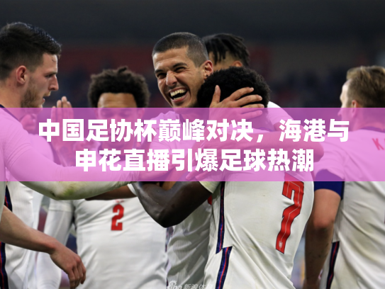 中国足协杯巅峰对决，海港与申花直播引爆足球热潮