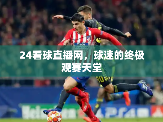 24看球直播网，球迷的终极观赛天堂