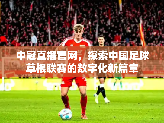 中冠直播官网，探索中国足球草根联赛的数字化新篇章