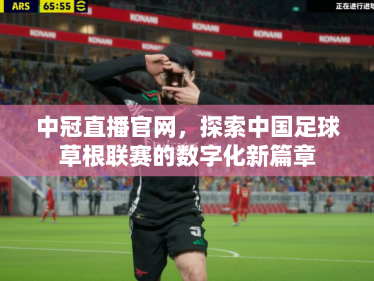 中冠直播官网，探索中国足球草根联赛的数字化新篇章