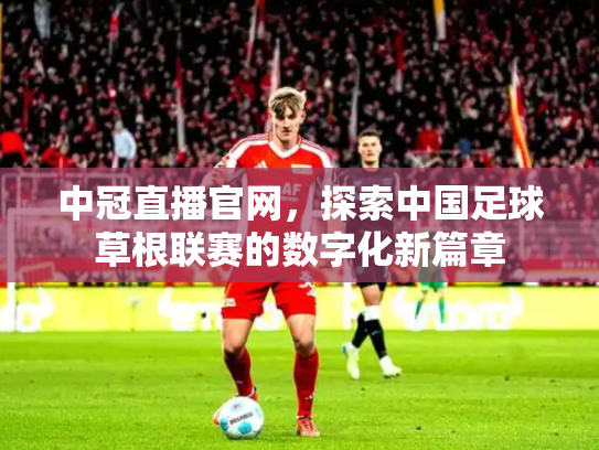中冠直播官网，探索中国足球草根联赛的数字化新篇章
