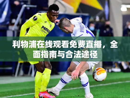 利物浦在线观看免费直播，全面指南与合法途径