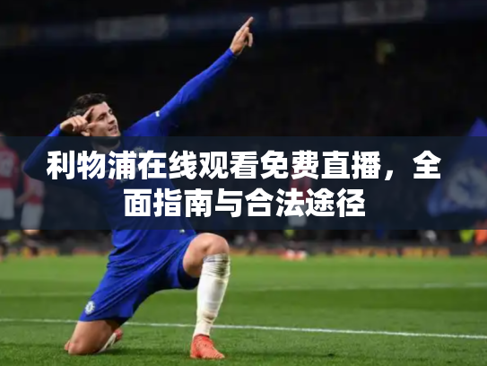 利物浦在线观看免费直播，全面指南与合法途径