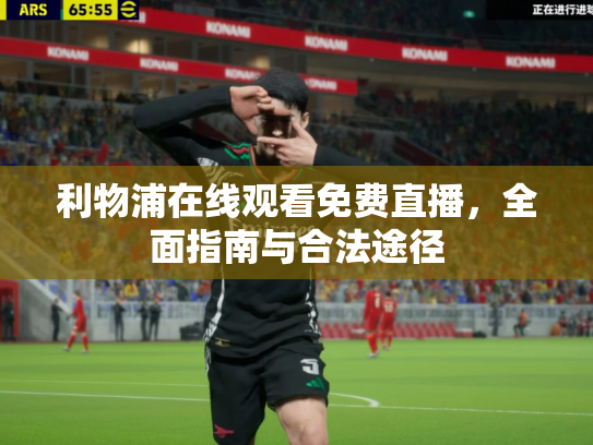 利物浦在线观看免费直播，全面指南与合法途径