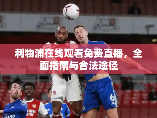 利物浦在线观看免费直播，全面指南与合法途径
