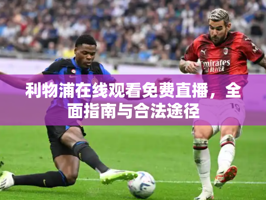 利物浦在线观看免费直播，全面指南与合法途径