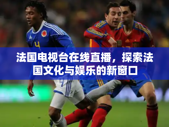 法国电视台在线直播，探索法国文化与娱乐的新窗口