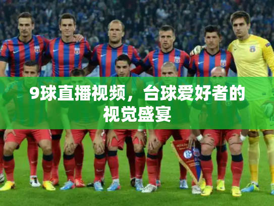 9球直播视频，台球爱好者的视觉盛宴