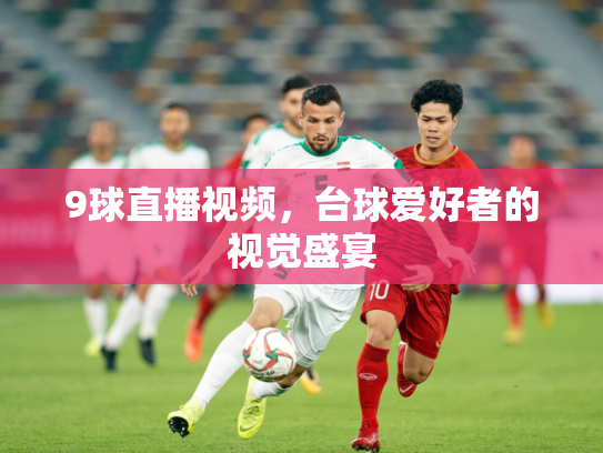 9球直播视频，台球爱好者的视觉盛宴