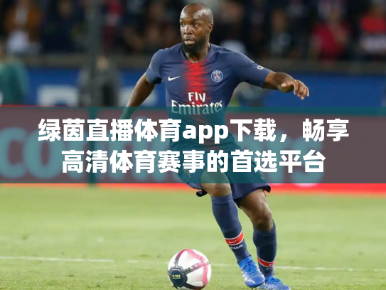 绿茵直播体育app下载，畅享高清体育赛事的首选平台