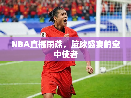 NBA直播雨燕，篮球盛宴的空中使者